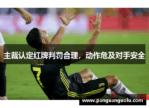 主裁认定红牌判罚合理，动作危及对手安全